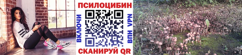 Купить где  Верхний Тагил  Псилоцибиновые грибы Cubensis 
